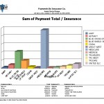 Graphic-Payments-by-Insurance_Lg